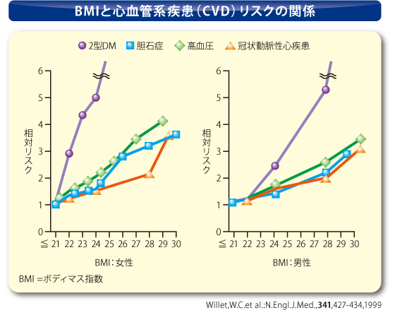 BMIと心血管系疾患（CVD）リスクの関係