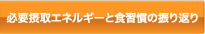 必要摂取エネルギーと食習慣の振り返り