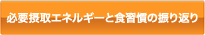 必要摂取エネルギーと食習慣の振り返り